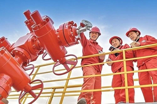 Oil & gas and petrochemical industries